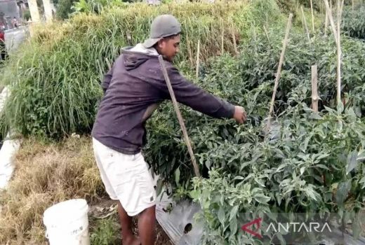 Masyarakat Boyolali di KRB III Gunung Merapi Diminta Waspada - GenPI.co JATENG