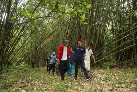 Wuih! Hutan Bambu di Tabanan Bali Ini Akan Dinamai Ganjar - GenPI.co JATENG