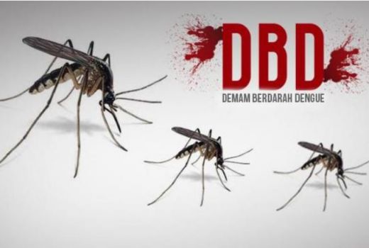 Astaga! 3 Pasien DBD di Rembang Meninggal Dunia - GenPI.co JATENG