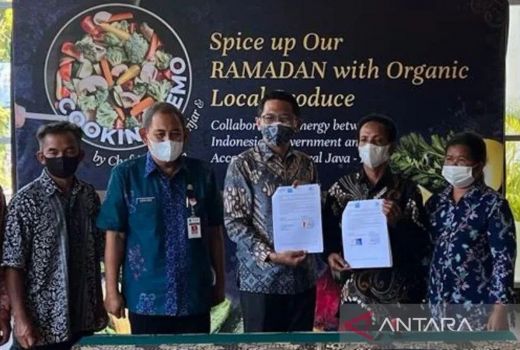 Keren! Petani Lereng Merbabu Pasok Ratusan Sayur Organik ke Hotel - GenPI.co JATENG