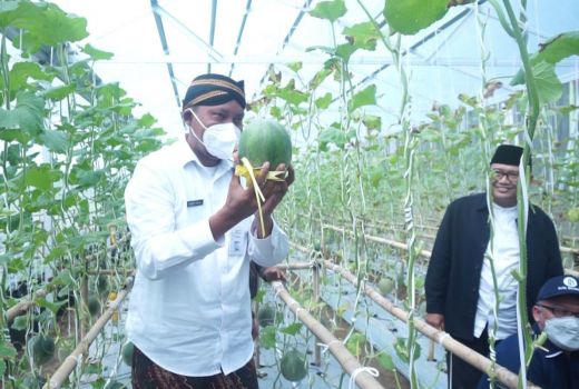 Tanam Melon, BI Ajak Ponpes Darul Abror Boyolali Mandiri Ekonomi - GenPI.co JATENG