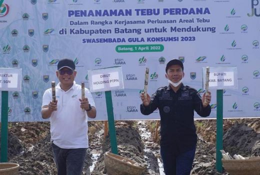 Ribuan Hektare Lahan di Batang Bakal Ditanami Tebu - GenPI.co JATENG