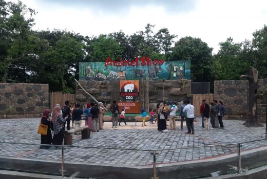 Astaga! Gajah di Semarang Zoo Mati, Gegara Dieksploitasi? - GenPI.co JATENG
