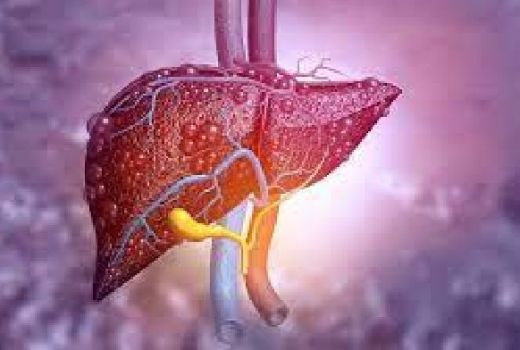 Begini Kondisi Penyakit Hepatitis Akut yang Menyerang Anak-Anak - GenPI.co JATENG