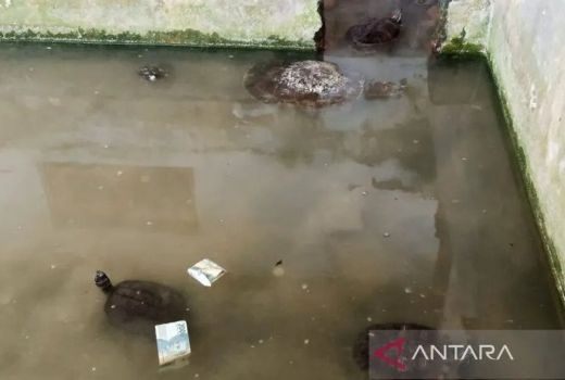 Tradisi Bulusan Kudus Digelar Lagi, Berharap Ekonomi Bangkit - GenPI.co JATENG