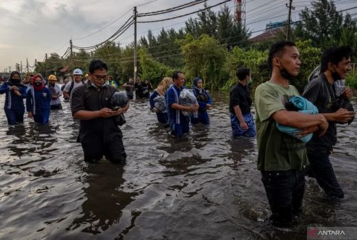 Diterjang Banjir Rob, Terminal Peti Kemas Setop Operasional - GenPI.co JATENG