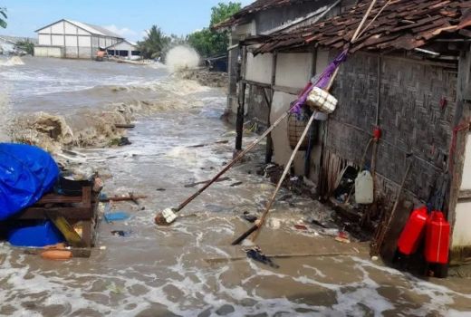 Puluhan Rumah di Pati Terendam Banjir Rob - GenPI.co JATENG