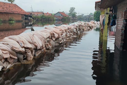 Begini Cara Pemkot Pekalongan Atasi Banjir Rob - GenPI.co JATENG