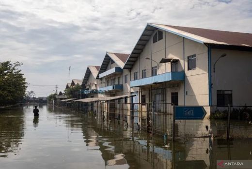 Antisipasi Banjir Rob, Perusahaan Diminta Cek dan Perbaiki Ini - GenPI.co JATENG