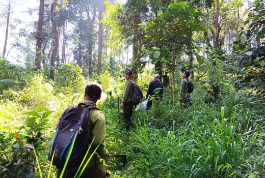 Pertamina Ikut Lestarikan Keanekaragaman Hayati di Gunung Lawu - GenPI.co JATENG