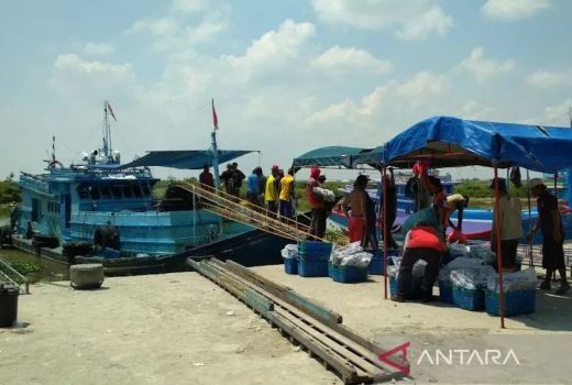 Peluang Bisnis Pengolahan Hasil Laut di Pati Terbuka Lebar - GenPI.co JATENG