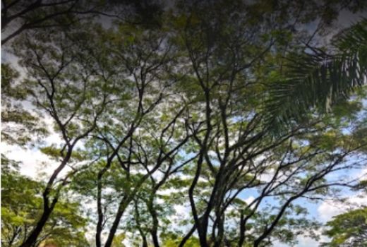 Enaknya Nyantai dan Melepas Penat di Taman Balekambang Solo - GenPI.co JATENG