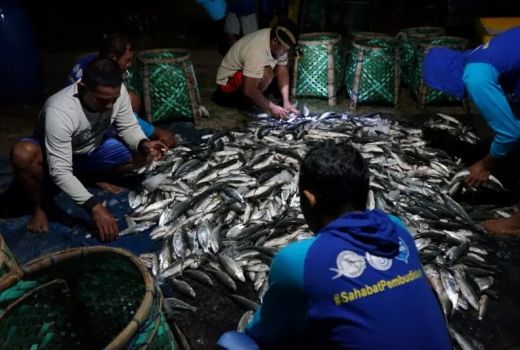 Terdampak Banjir Rob, Petambak Bandeng Jepara Rugi Ratusan Juta - GenPI.co JATENG