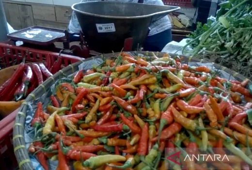 Alamak! Harga Cabai Rawit Merah di Purwokerto Tembus Rp105.000/Kg - GenPI.co JATENG
