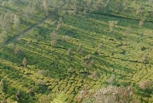 Ini Daftar Destinasi Wisata di Wonosobo yang Wajib Dikunjungi - GenPI.co JATENG