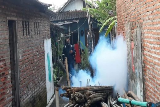 Innalillahi, 2 Balita di Kota Pekalongan Meninggal Gegara DBD - GenPI.co JATENG