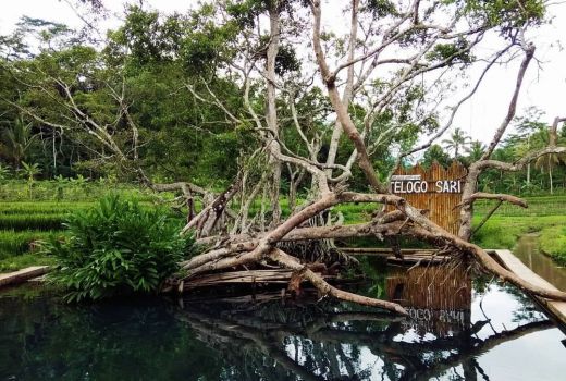 Yuk, ke Telogo Sari, Wisata Mata Air di Kaki Gunung Telomoyo - GenPI.co JATENG