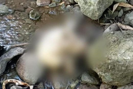 Ngeri! Kerangka Manusia Ditemukan di Tepi Sungai Depok Kendal - GenPI.co JATENG