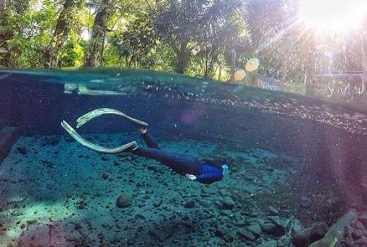 Segarnya Mata Air Alami Sendang Maren di Magelang - GenPI.co JATENG