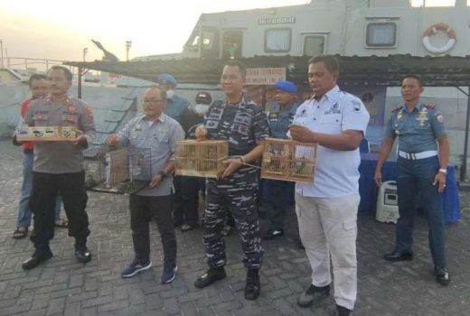 Duh! 2 ABK Selundupkan Burung Dilindungi di Pelabuhan Tanjung Emas - GenPI.co JATENG