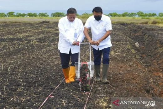 Sesuai Arahan Jokowi, Ganjar Siapkan Lahan 120 Ha untuk Budi Daya Sorgum - GenPI.co JATENG