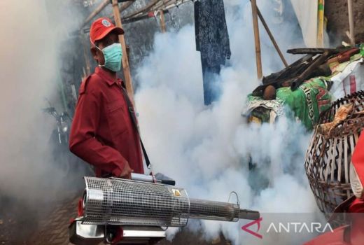 Seratusan Warga Pekalongan Kena DBD, 2 Orang Meninggal Dunia - GenPI.co JATENG