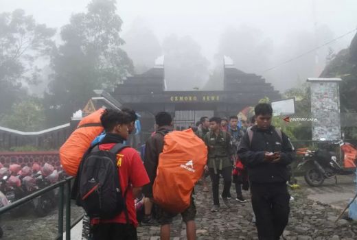 Pendaki Hilang di Gunung Lawu Terakhir Terlihat di Pasar Setan - GenPI.co JATENG