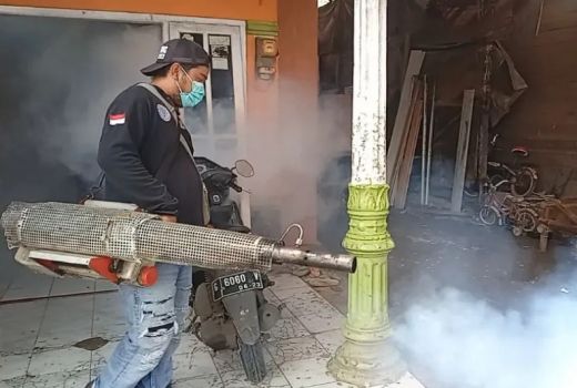 Innalillahi! 5 Orang Penderita DBD di Batang Meninggal Dunia - GenPI.co JATENG