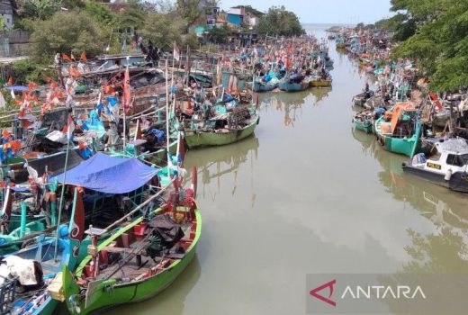 Waduh! Hasil Tangkapan Ikan Nelayan di Jepara Turun - GenPI.co JATENG