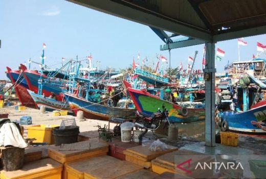 Cuaca Buruk Bikin Nelayan Tak Melaut, Tempat Pelelangan Ikan di Batang Sepi - GenPI.co JATENG
