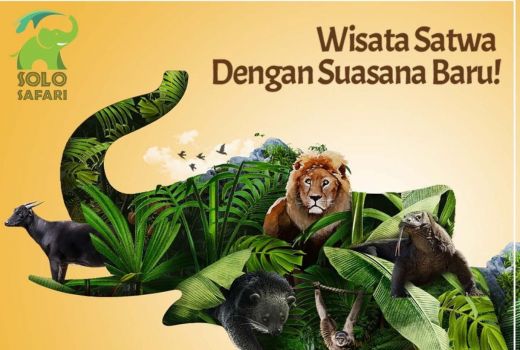 Satwa di Solo Safari Mulai Didatangkan Pekan Ini, Buka 27 Januari 2023! - GenPI.co JATENG