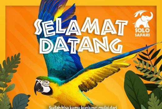 Solo Safari Dibuka Mulai Hari Ini, Sebegini Harga Tiket dan Cara Belinya! Bisa Dipesan Online - GenPI.co JATENG