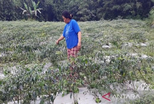 3 Desa di Boyolali Terkena Hujan Abu Gegara Erupsi Gunung Merapi, Begini Kondisinya - GenPI.co JATENG