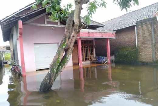Curah Hujan Tinggi, Ratusan Rumah Warga di Kudus Kebanjiran - GenPI.co JATENG