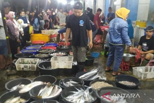 Mak-Mak Bisa Tenang, Stok Ikan Laut di Pasar Ikan Balekambang Solo Aman Meski Cuaca Ekstrem - GenPI.co JATENG
