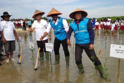 Cegah Abrasi, 100.000 Bibit Mangrove Ditanam di Wisata Jembatan Merah Rembang - GenPI.co JATENG