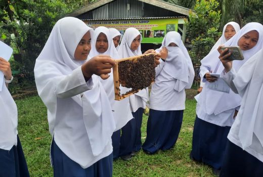 Sukses Bersama BRI, Pengusaha Madu Siantar Berdayakan Masyarakat - GenPI.co JATENG