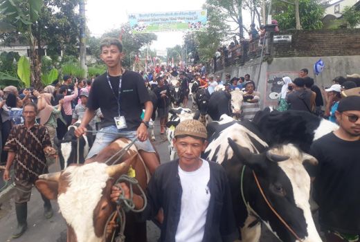 Begini Serunya Bakdan Sapi di Lereng Merapi Boyolali - GenPI.co JATENG