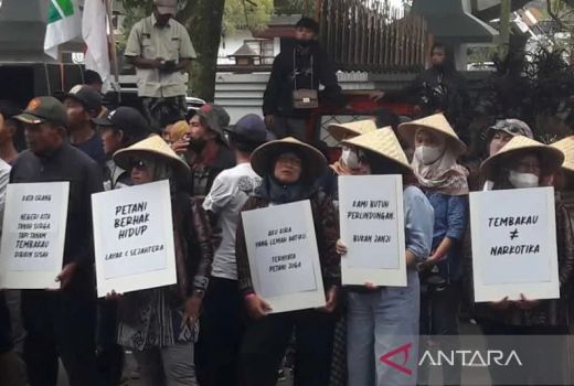 Tembakau Disamakan dengan Narkotika, Petani Temanggung Protes - GenPI.co JATENG