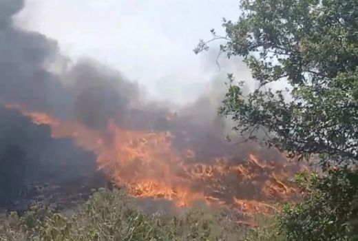 TPA Putri Cempo Solo Kebakaran, Gibran Lakukan Ini - GenPI.co JATENG