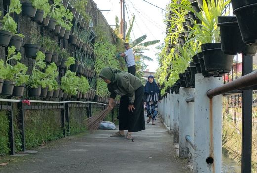 Program BRInita Sukses Jadikan Kelurahan Padjajaran Bandung Jadi Percontohan Urban Farming - GenPI.co JATENG