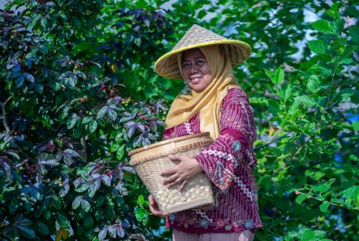 Sukses Hidupkan Berbagai Unit Usaha, Desa Sukomulyo Jadi Pemenang Desa BRILiaN - GenPI.co JATENG