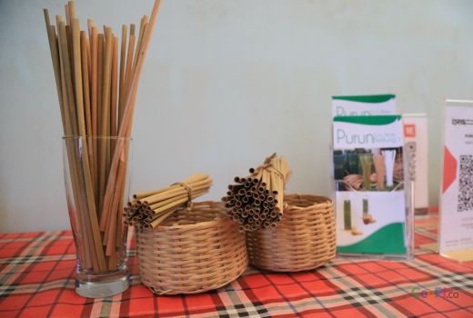 UMKM Binaan BRI, Purun Eco Straw Diapresiasi di Sidang PBB - GenPI.co JATENG