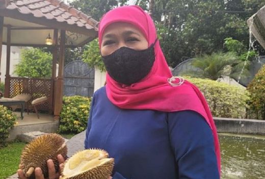Durian Kunir, Si Mungil dengan Rasa Kuat - GenPI.co JATIM