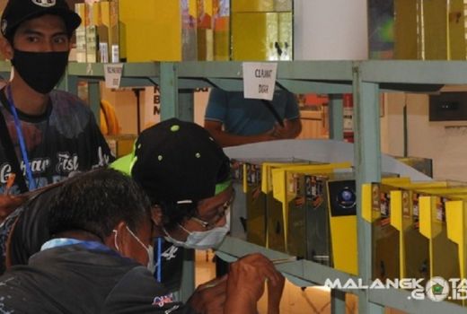 Kalau Penggemar Ikan Cupang Sudah Berkumpul, Apa Jadinya? - GenPI.co JATIM