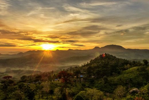 Sensasi Melihat Bojonegoro dari atas Bukit Cinta, Menakjubkan! - GenPI.co JATIM