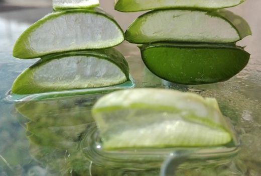 Ladies, Yuk Simak 4 Tanaman yang Punya Manfaat Kecantikan - GenPI.co JATIM