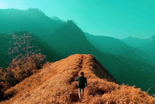 Bukit Watu Jengger, Cocok untuk Hanya Sekadar Camping Ceria - GenPI.co JATIM