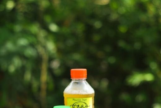 Jamu, Minuman Tradisional Kaya Manfaat - GenPI.co JATIM