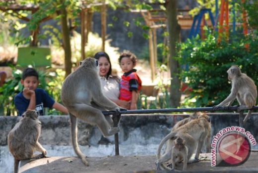 Tempat Wisata di Madiun Tutup, Pengelola Pasrah Tunggu Donasi - GenPI.co JATIM
